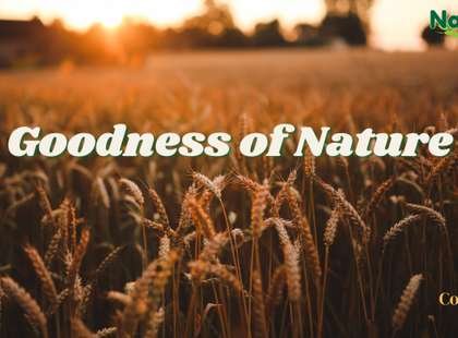 GOODNESS OF NATURE